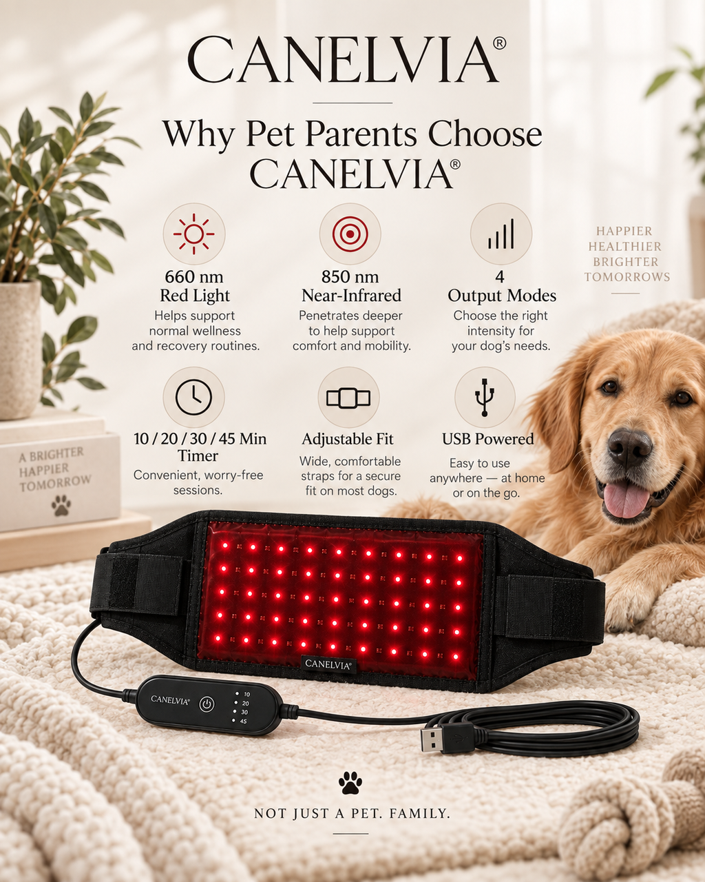 CANELVIA® dog wellness wrap — 660 nm, 850 nm, modes, timer, adjustable fit and USB power