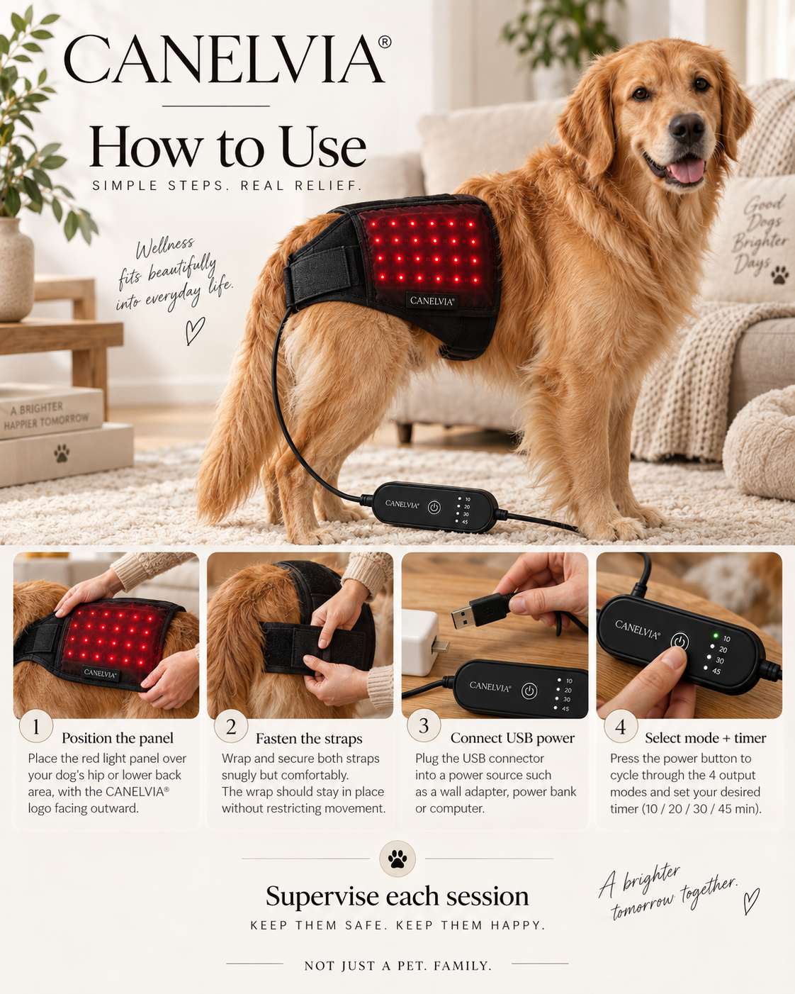 How to use the CANELVIA® red and near-infrared wellness wrap for dogs