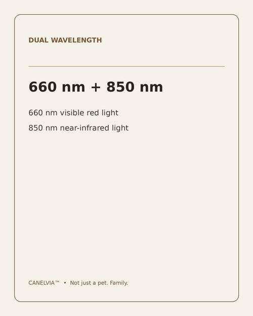 CANELVIA dual wavelength 660 nm and 850 nm